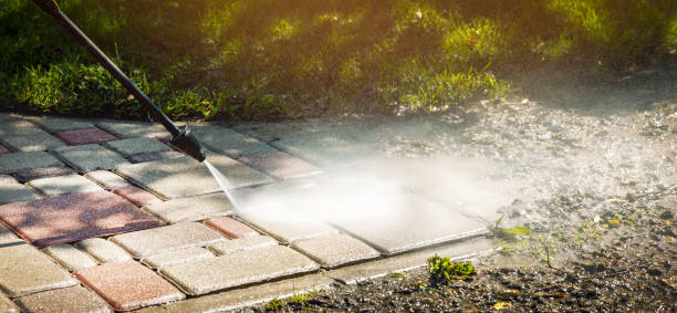 Best Warehouse Cleaning  in Lisbon, ND