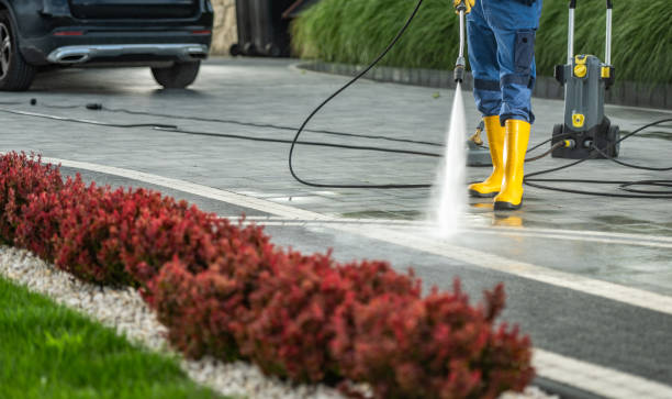 Best Dumpster Area Cleaning  in Lisbon, ND